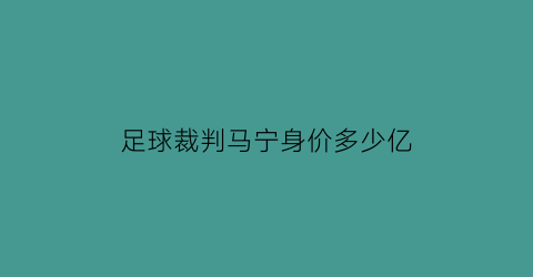 足球裁判马宁身价多少亿