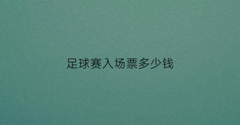 足球赛入场票多少钱(一场足球赛入场券300元)