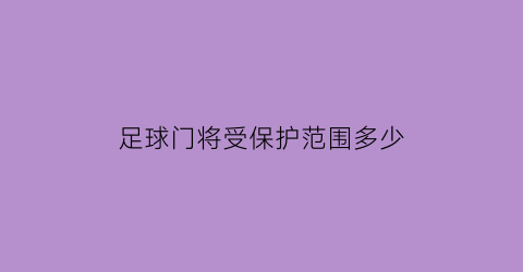 足球门将受保护范围多少(足球比赛门将)