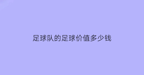 足球队的足球价值多少钱