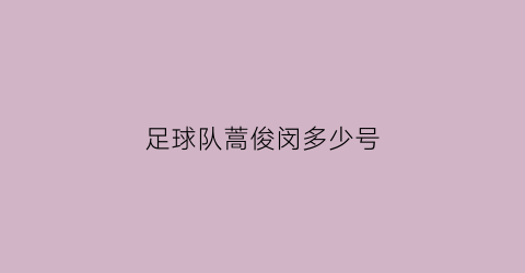 足球队蒿俊闵多少号