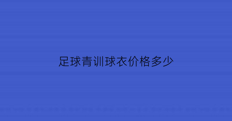 足球青训球衣价格多少