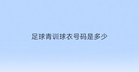 足球青训球衣号码是多少(足球青训球衣号码是多少号)