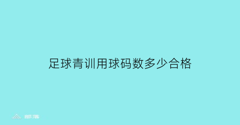 足球青训用球码数多少合格