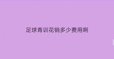 足球青训花销多少费用啊