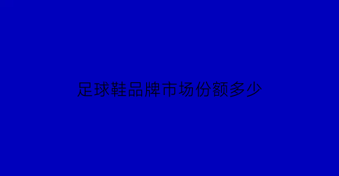 足球鞋品牌市场份额多少