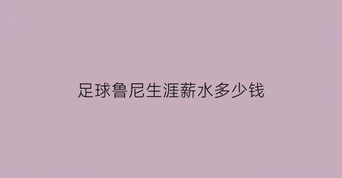 足球鲁尼生涯薪水多少钱(鲁尼在足球界算什么水平)