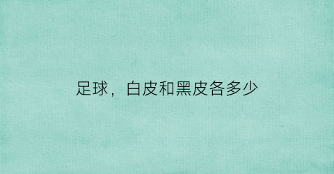 足球白皮和黑皮各多少(足球白皮和黑皮各多少钱一个)