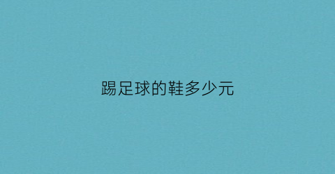 踢足球的鞋多少元