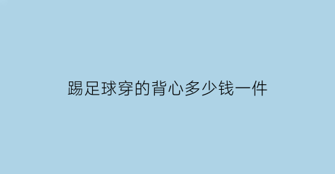 踢足球穿的背心多少钱一件(踢足球穿的小背心)