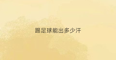 踢足球能出多少汗(踢足球运动量大吗)