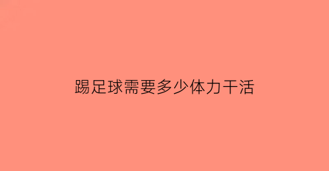 踢足球需要多少体力干活(踢足球需要几个人在场上踢)