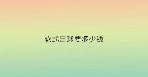 软式足球要多少钱