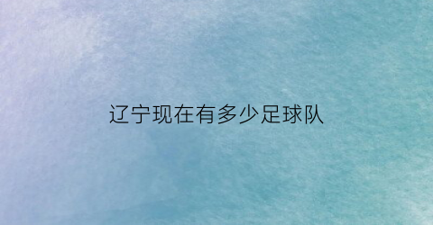 辽宁现在有多少足球队(辽宁足球队现在是什么名字)