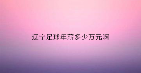 辽宁足球年薪多少万元啊