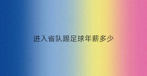 进入省队踢足球年薪多少(进入省队踢足球年薪多少钱)