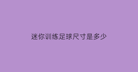 迷你训练足球尺寸是多少(迷你足球游戏)