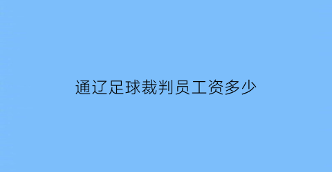 通辽足球裁判员工资多少