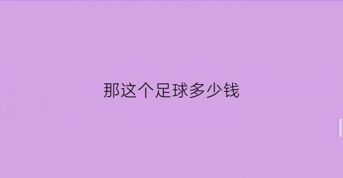 那这个足球多少钱