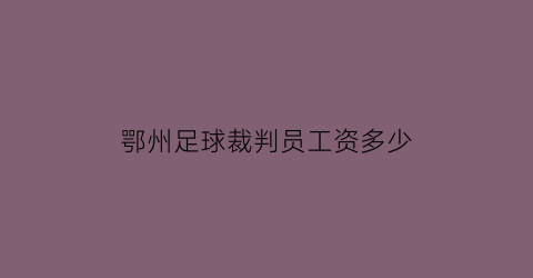 鄂州足球裁判员工资多少(鄂州足球裁判员工资多少钱一个月)