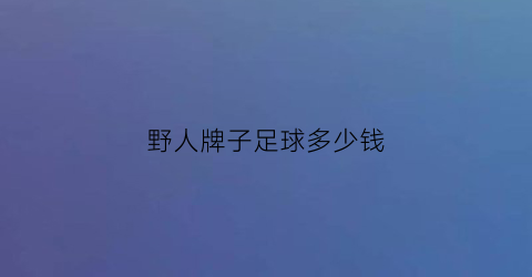 野人牌子足球多少钱(野人牌子足球多少钱一对)