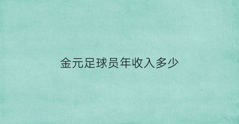 金元足球员年收入多少(金元足球俱乐部)