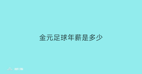 金元足球年薪是多少(金元足球年薪是多少钱一个月)