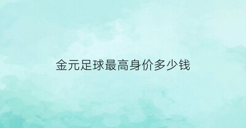 金元足球最高身价多少钱(金元足球是什么意思)