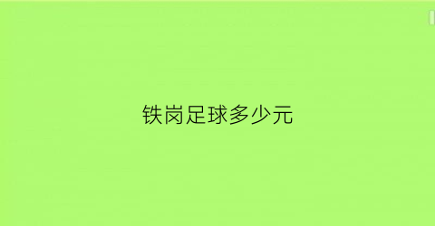 铁岗足球多少元(铁岗足球多少元钱一个)