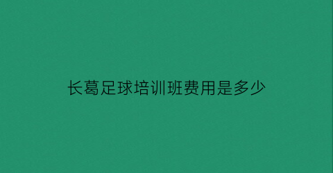 长葛足球培训班费用是多少(长葛足球培训班费用是多少钱一个月)