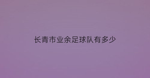 长青市业余足球队有多少(长青市业余足球队有多少个)