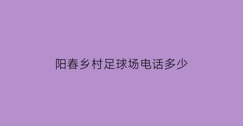 阳春乡村足球场电话多少