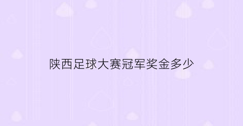 陕西足球大赛冠军奖金多少(陕西省足球协会官网2020)