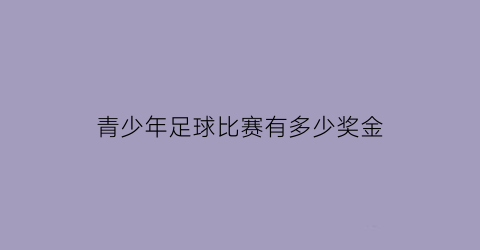 青少年足球比赛有多少奖金