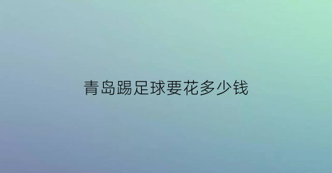 青岛踢足球要花多少钱(青岛5万人专业足球场)