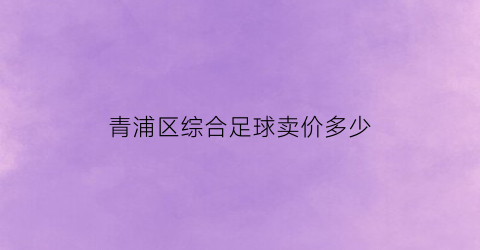 青浦区综合足球卖价多少