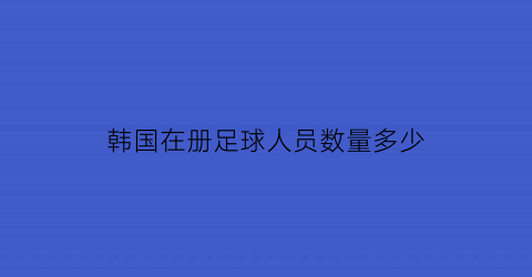 韩国在册足球人员数量多少(韩国的足球队)