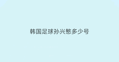 韩国足球孙兴慜多少号