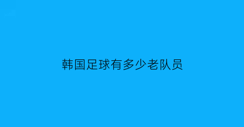 韩国足球有多少老队员(韩国足球队队长是谁)