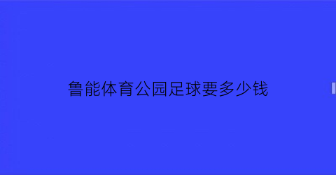 鲁能体育公园足球要多少钱