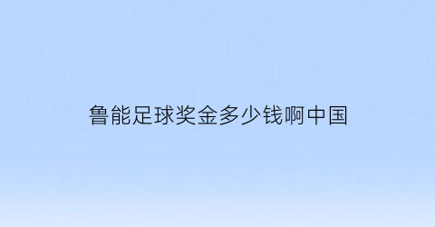 鲁能足球奖金多少钱啊中国