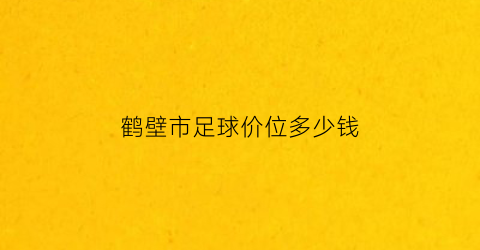 鹤壁市足球价位多少钱(鹤壁足球队)